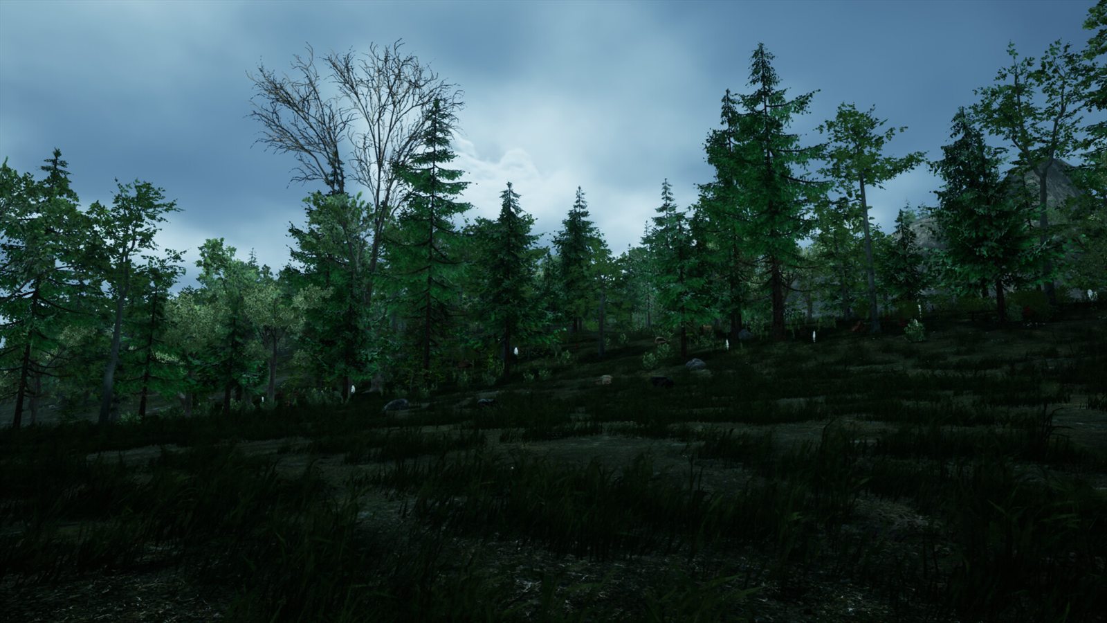 The Isle CLOUD-DMA preview